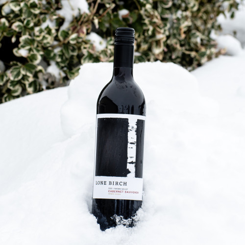 Cabernet Sauvignon in Winter